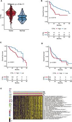 The analysis of cathepsin L that mediates cellular SARS‐CoV‐2 infection leading to COVID‐19 in head and neck squamous cell carcinoma